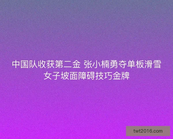 中国队收获第二金 张小楠勇夺单板滑雪女子坡面障碍技巧金牌